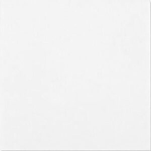 Azulejo Cerâmico Branco Brilho 20 x 20 cm